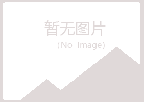 河南夏日化学有限公司